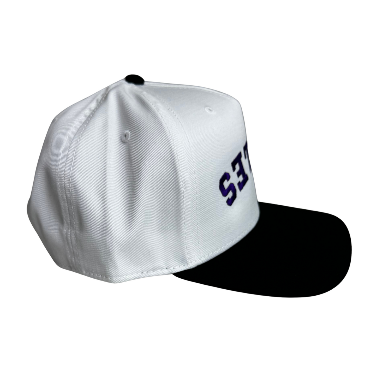 Eagles Embroidered Upside Down Hat