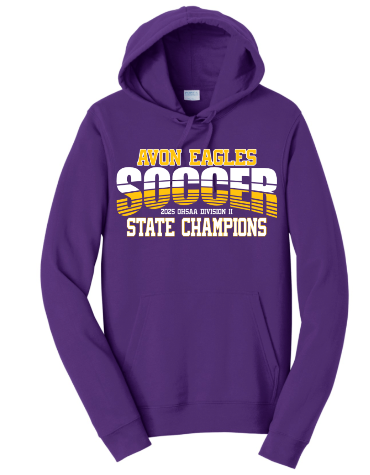 Soccer State Champions Hoodie