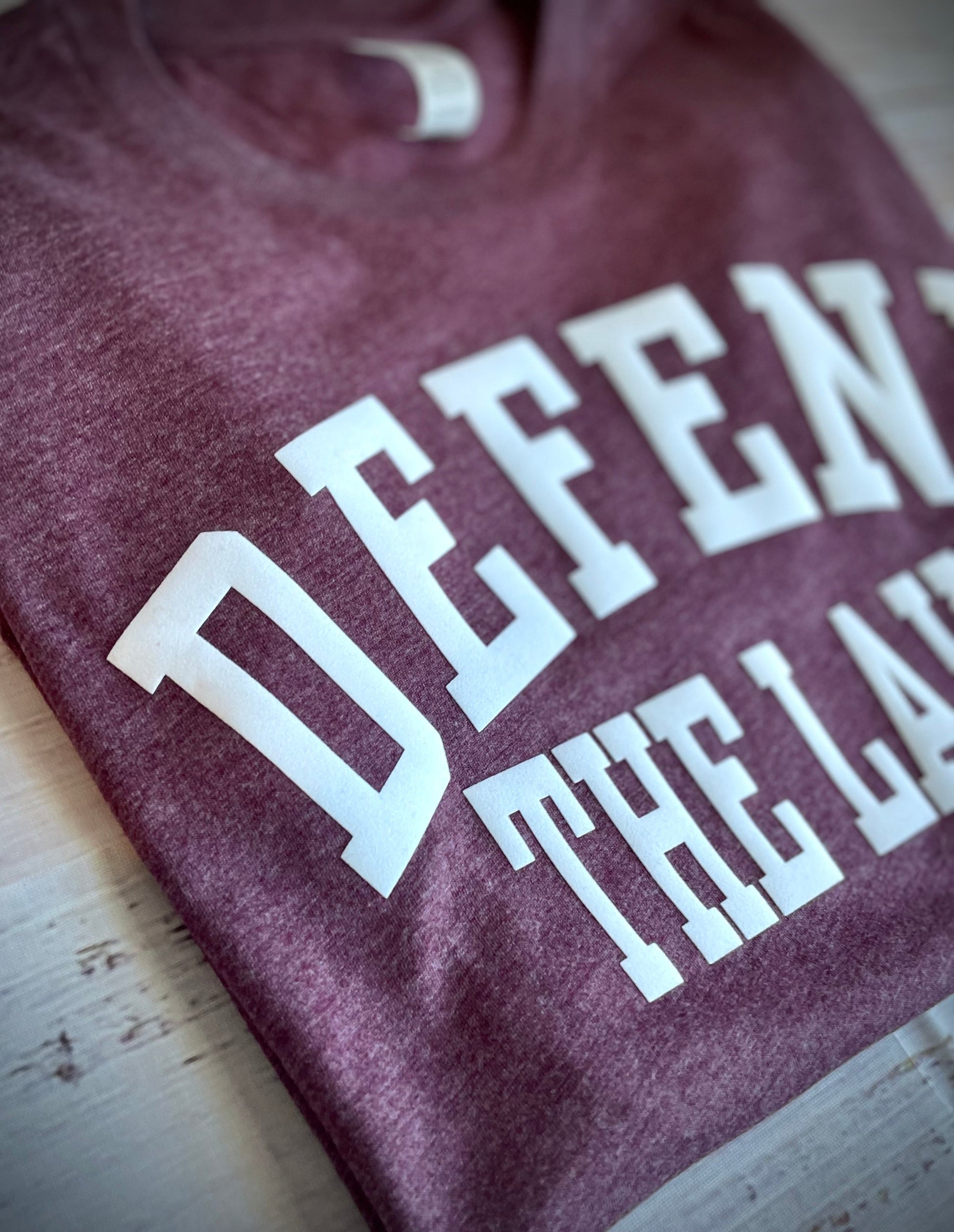 Defend The Lake - t-shirt