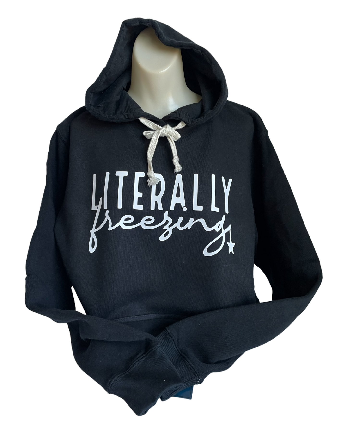 Literally Freezing Hoodie